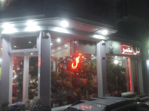 عکس گل قصر