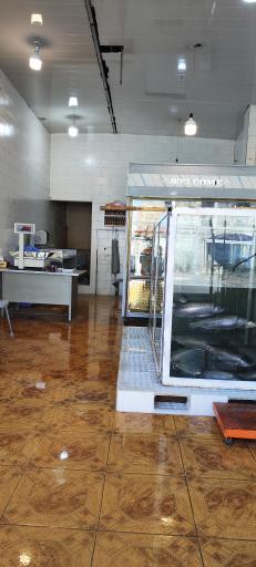 عکس فروش ماهی قزل زنده