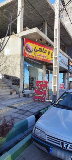 عکس فروش ماهی قزل زنده