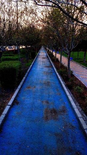 عکس بوستان افرا