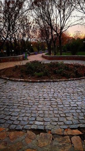 عکس بوستان افرا