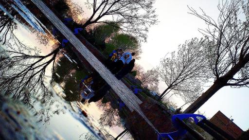 عکس بوستان افرا