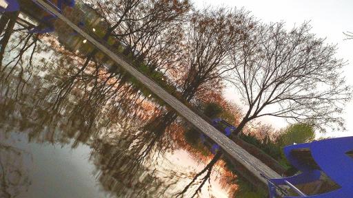 عکس بوستان افرا