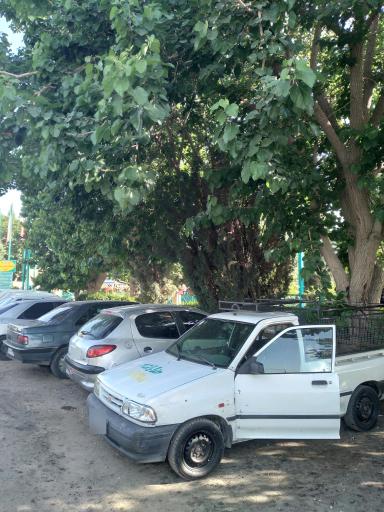 بوستان ناجی