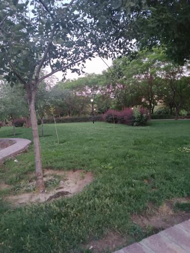 عکس بوستان افرا