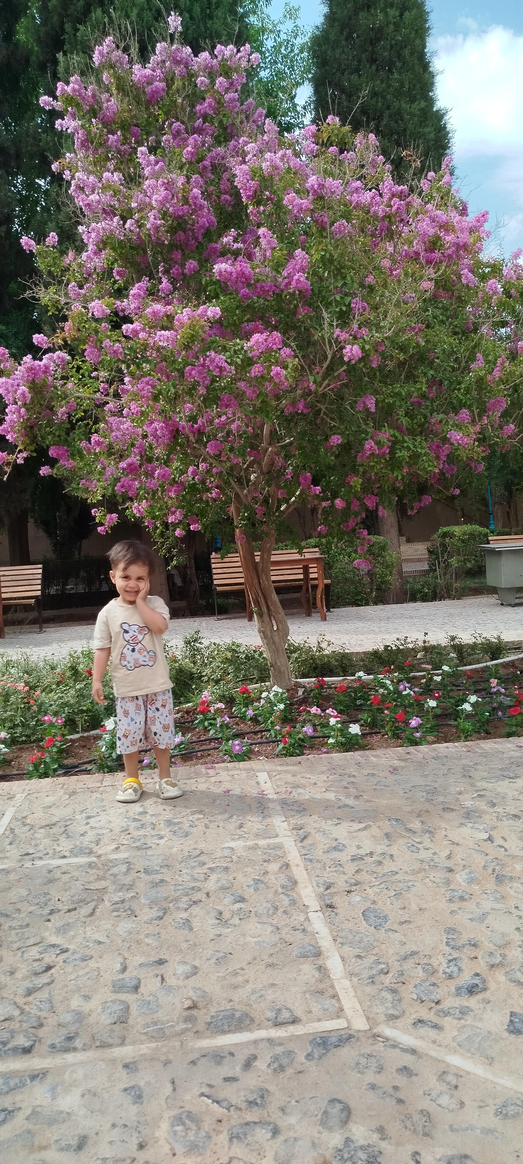 عکس بوستان ناجی