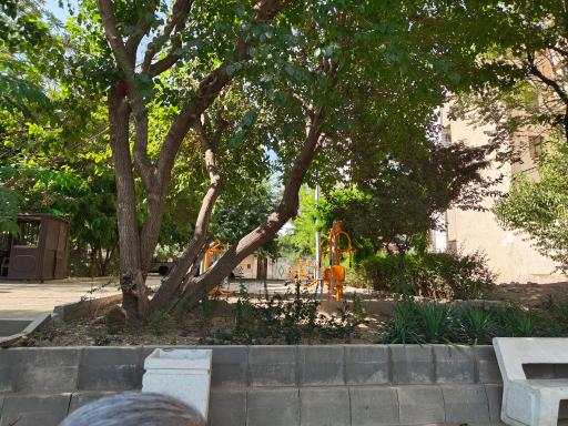 عکس بوستان محبت