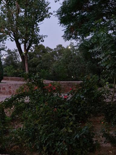 عکس بوستان افرا