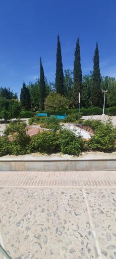 عکس بوستان ناجی