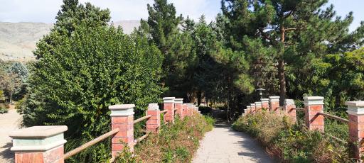 عکس بوستان جنگلی جهان نما