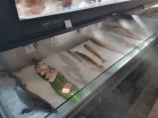 عکس مرکز ماهی رهنما