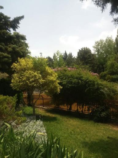 عکس بوستان جنگلی جهان نما