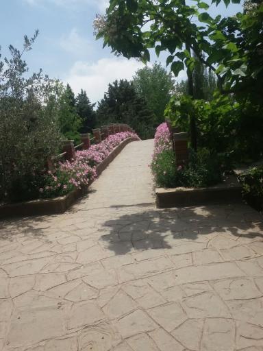 عکس بوستان جنگلی جهان نما