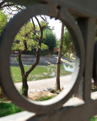 عکس بوستان جنگلی جهان نما