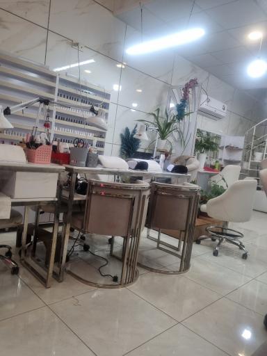 عکس سالن زیبایی بانوی آریایی 