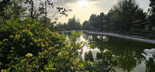 عکس بوستان جنگلی جهان نما