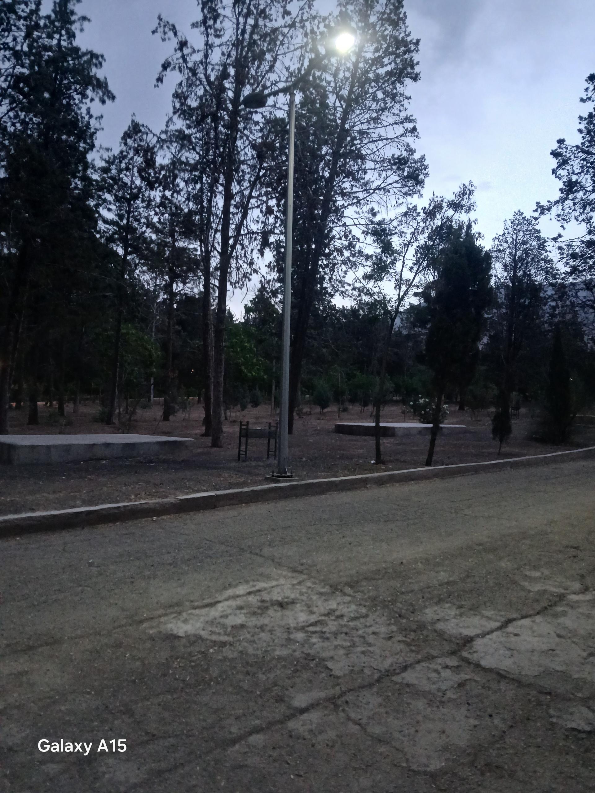 عکس بوستان جنگلی جهان نما