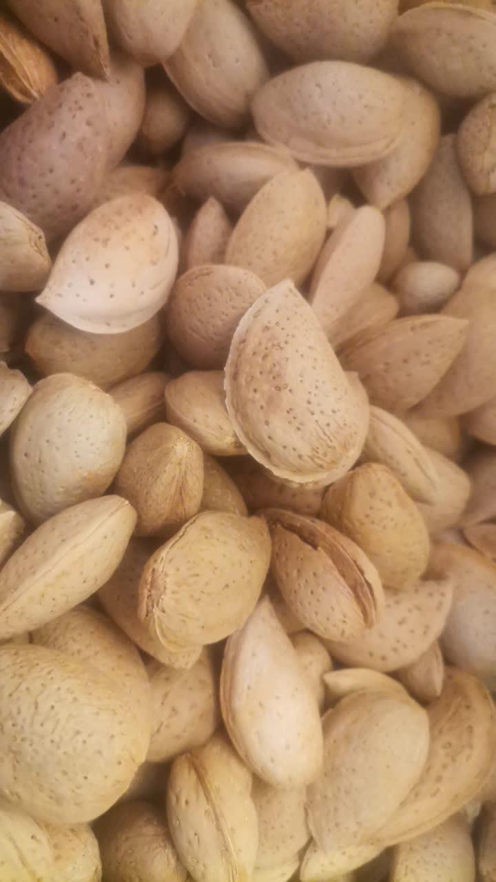 عکس آجیل و خشکبار سرای علوی