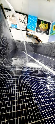 عکس استخر آبدرمانی هفت چشمه کیوی