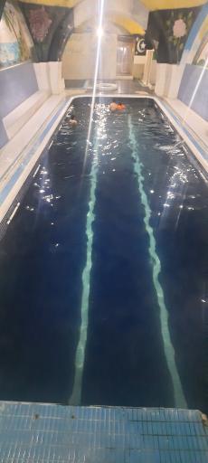 عکس استخر آبدرمانی هفت چشمه کیوی