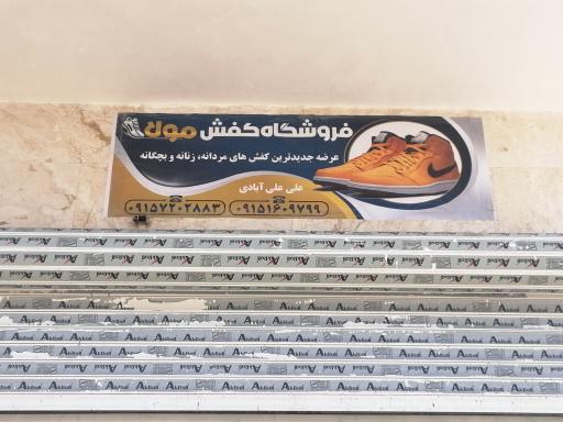 عکس کفش مولا