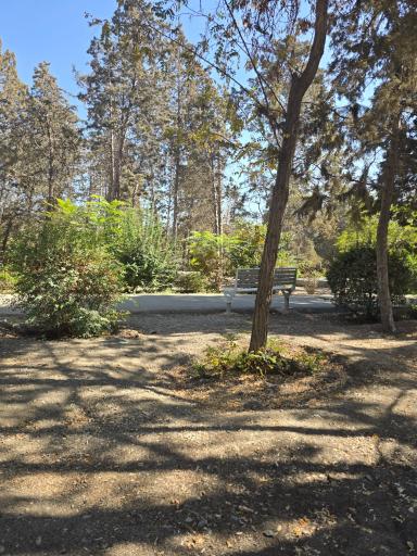 عکس بوستان جنگلی جهان نما