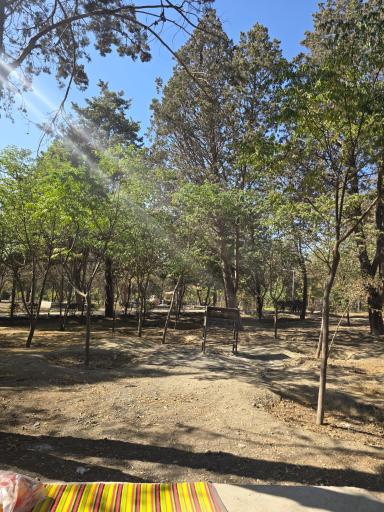 عکس بوستان جنگلی جهان نما