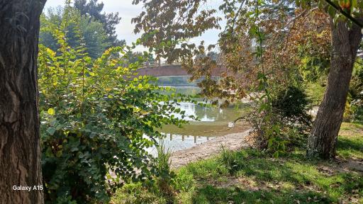 عکس بوستان جنگلی جهان نما