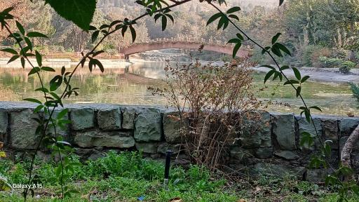 عکس بوستان جنگلی جهان نما