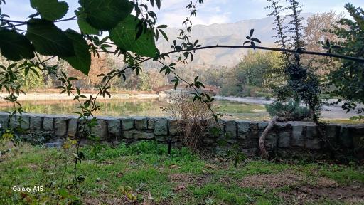 عکس بوستان جنگلی جهان نما