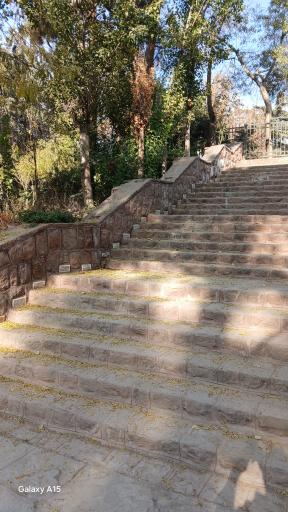 عکس بوستان جنگلی جهان نما