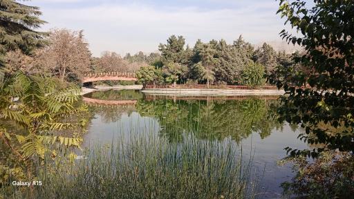 عکس بوستان جنگلی جهان نما