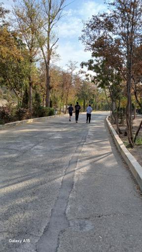 عکس بوستان جنگلی جهان نما