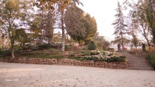 عکس بوستان جنگلی جهان نما