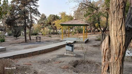 عکس بوستان جنگلی جهان نما