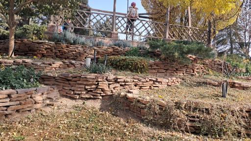 عکس بوستان جنگلی جهان نما