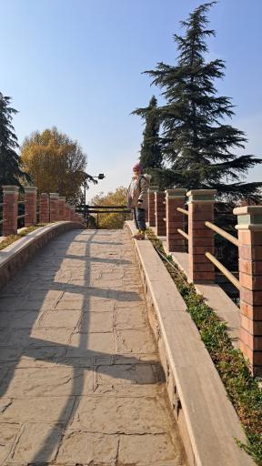 عکس بوستان جنگلی جهان نما