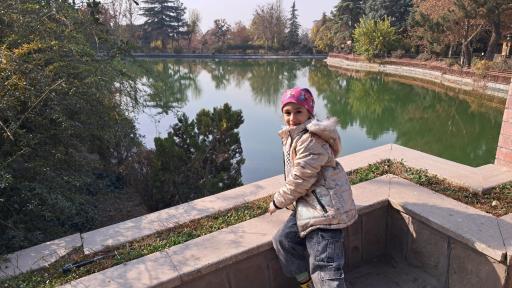 عکس بوستان جنگلی جهان نما