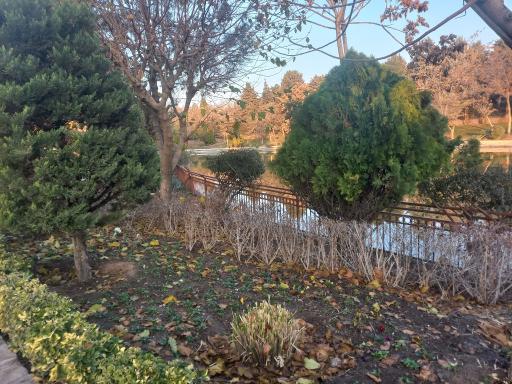 عکس بوستان جنگلی جهان نما