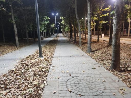 بوستان جنگلی جهان نما