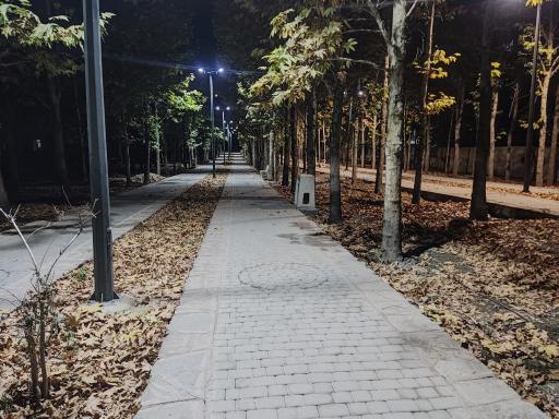 عکس بوستان جنگلی جهان نما