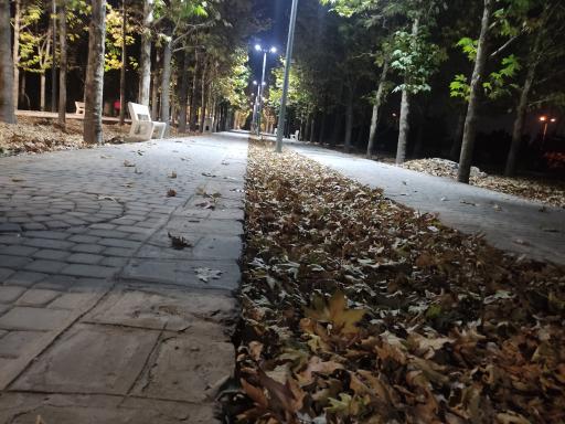 بوستان جنگلی جهان نما