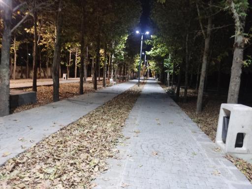 بوستان جنگلی جهان نما