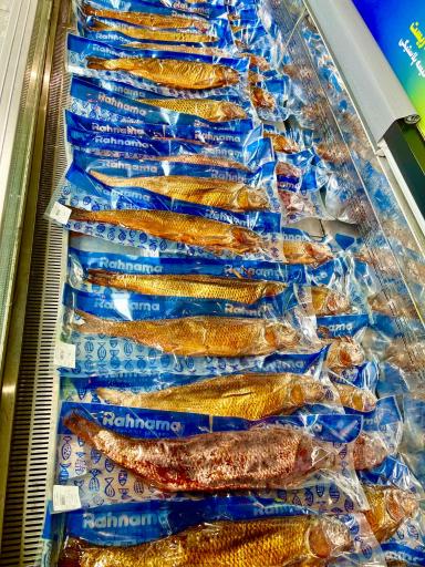 عکس مرکز ماهی رهنما