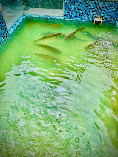 عکس مرکز ماهی رهنما