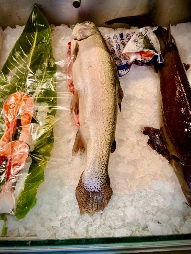 عکس مرکز ماهی رهنما