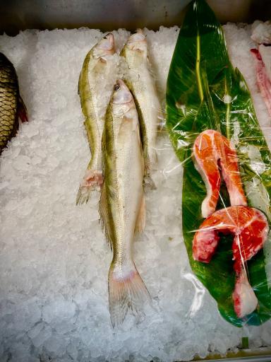 عکس مرکز ماهی رهنما