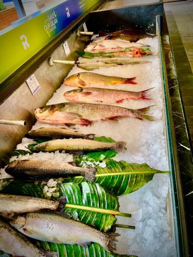 عکس مرکز ماهی رهنما