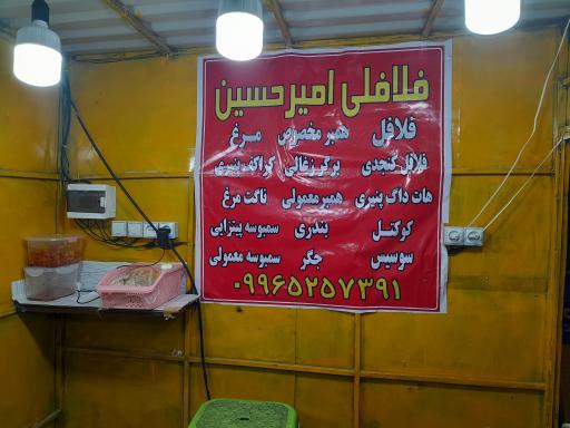 عکس فلافلی امیرحسین