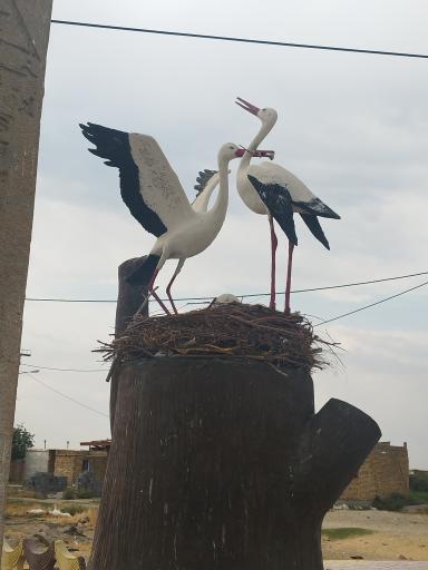 عکس کپرجودکی